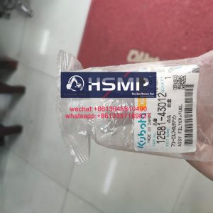 HSMP Kubota Engine Kubota Diesel & Engine Rebuild Kit