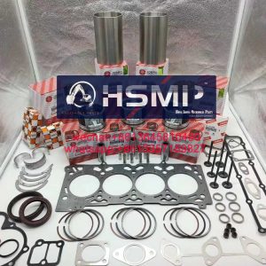 HSMP Kubota Engine V2607 307E