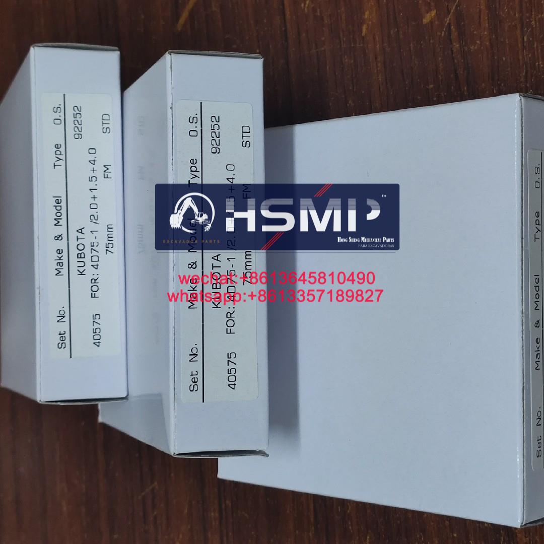 HSMP Excavator Parts China