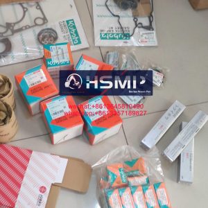 HSMP Kubota Engine V3307 Piston Ring & Cylinder Liner Repair Kit & Oil Pump Part No 1J751-21110/1J407-21777