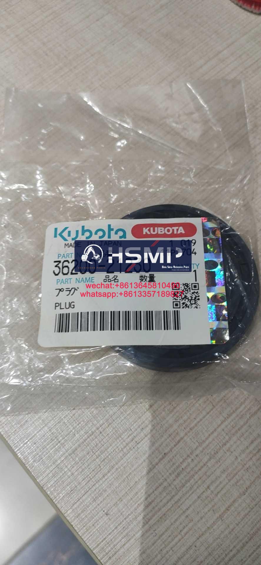 HSMP Excavator Parts China