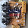 HSMP JCB Engine JCB200/JCB444 Assembly & Crankshaft & Connecting Rod