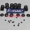 HSMP Kubota Engine D782 Valve Spring & Valve Spring Seat